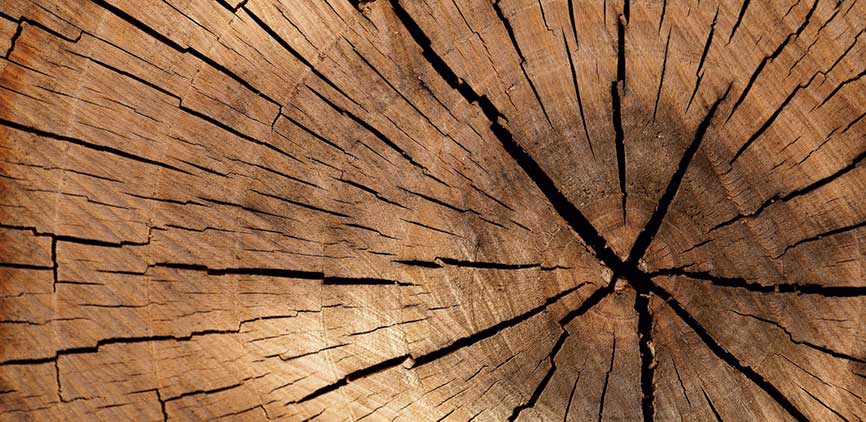 Maderas Argentinas Tulli Hnos SA