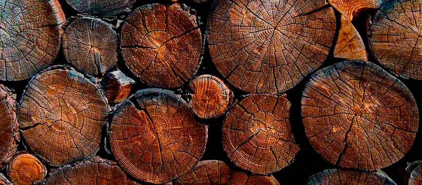 Maderas Argentinas Tulli Hnos SA