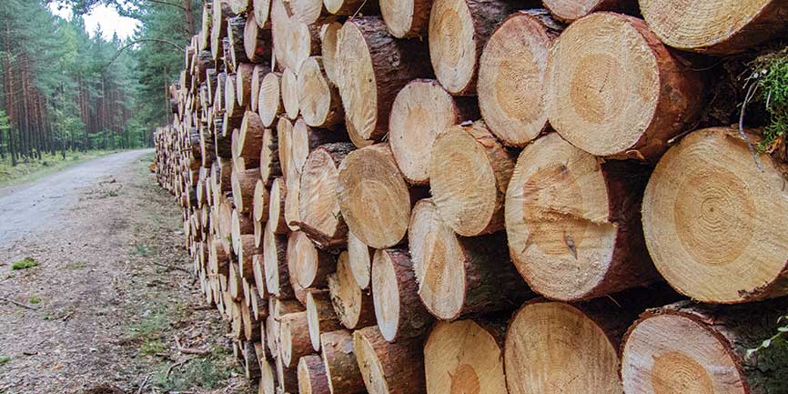 Maderas Argentinas Tulli Hnos SA