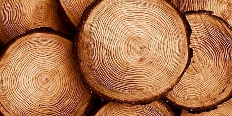 Maderas Argentinas Tulli Hnos SA