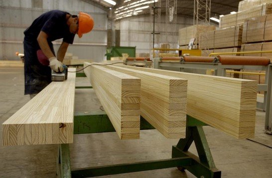 Expectativas industria madera